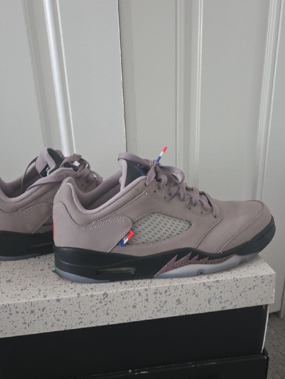 Rare AIR JORDAN 5 LPW PsG